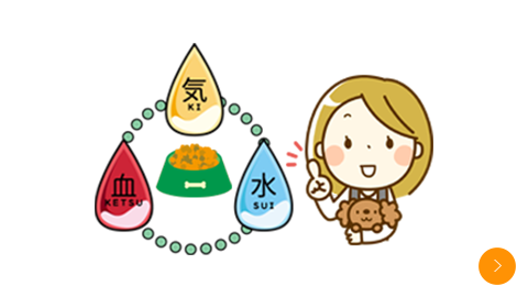 薬膳手作りドッグフード