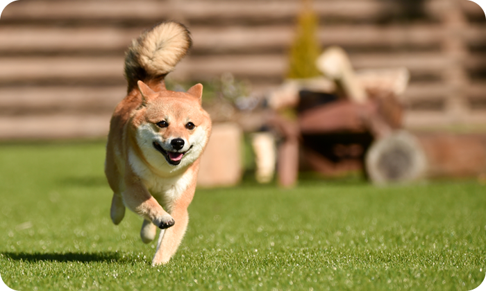 Q&A よくある質問