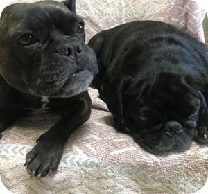 GALLERY ギャラリー