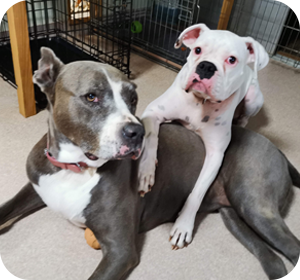 GALLERY ギャラリー